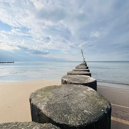 Κάμπινγκ Baltic Forest