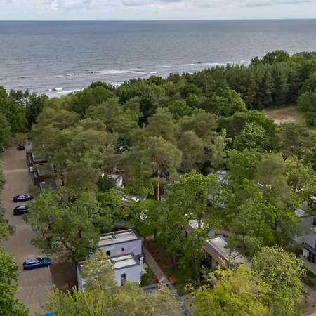 Baltic Forest * Kołobrzeg