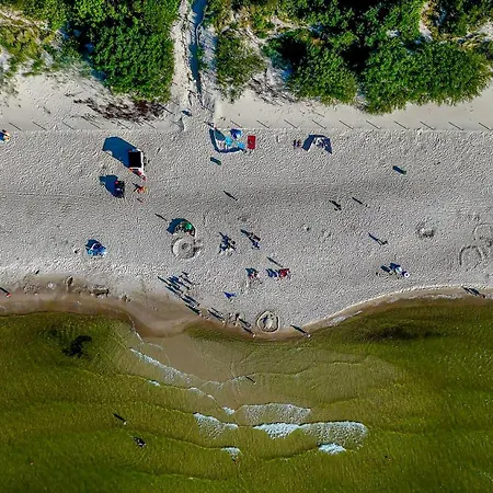 Baltic Forest * Kołobrzeg