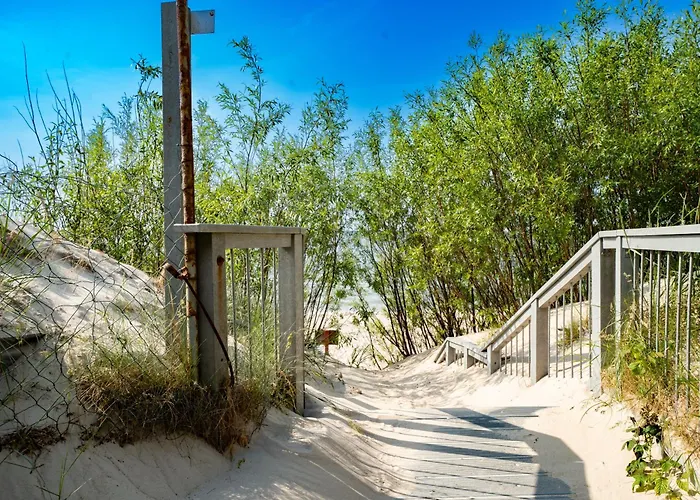 Baltic Forest مكان تخييم