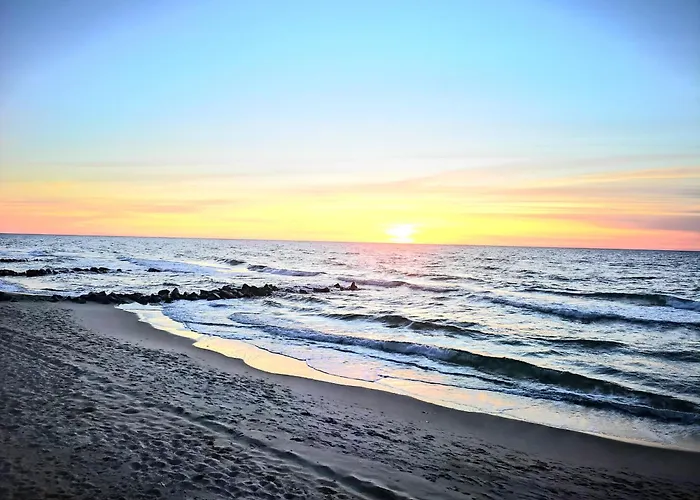 مكان تخييم Baltic Forest *