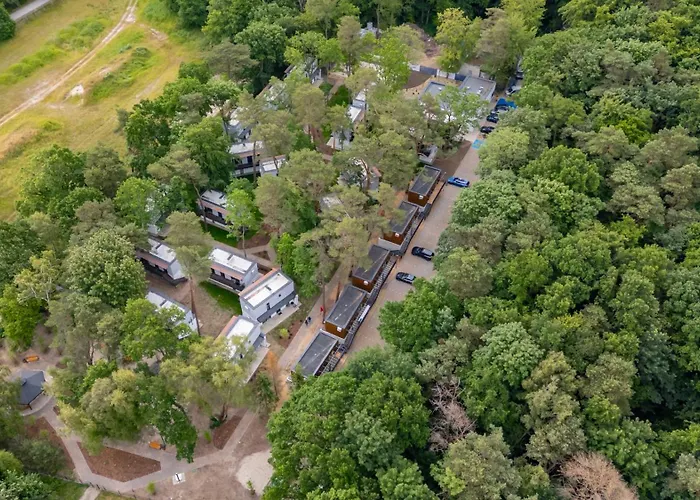 Baltic Forest مكان تخييم