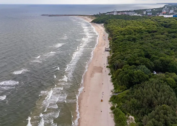 مكان تخييم Baltic Forest
