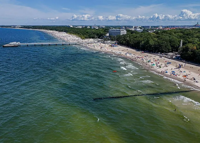 Baltic Forest كولوبرزيغ