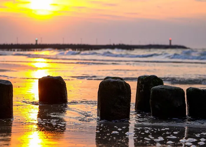 Baltic Forest * كولوبرزيغ