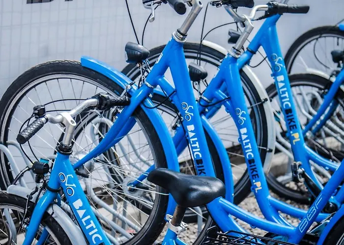 Baltic Forest مكان تخييم