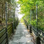营地 Baltic Forest
