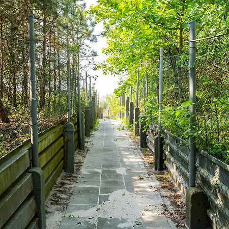 Parque de Campismo Baltic Forest