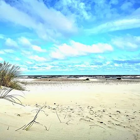 Baltic Forest Campingplatz *