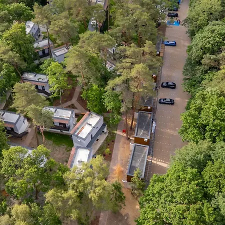 Baltic Forest * Kołobrzeg