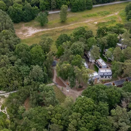 Baltic Forest קולובז'ג