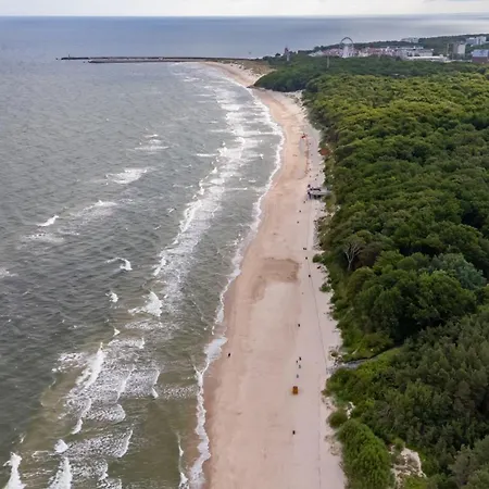 אתר קמפינג Baltic Forest