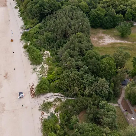 Baltic Forest 科沃布热格