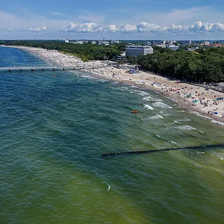 Baltic Forest 科沃布热格