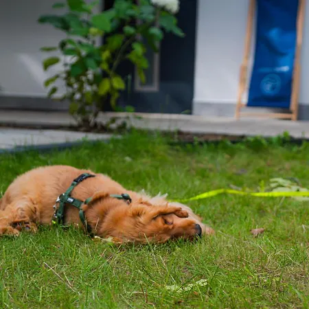 Baltic Forest Parque de Campismo *