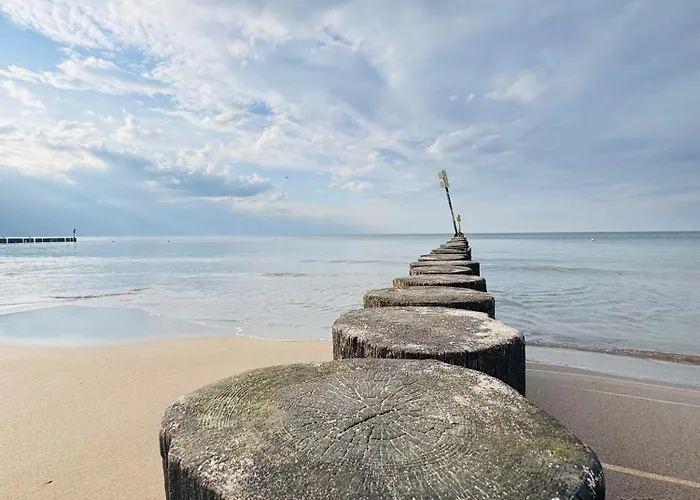 Campingplatz Baltic Forest