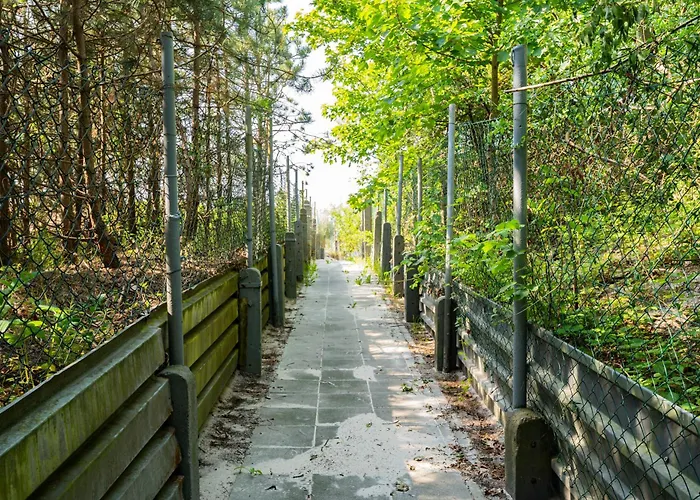 Campingplatz Baltic Forest