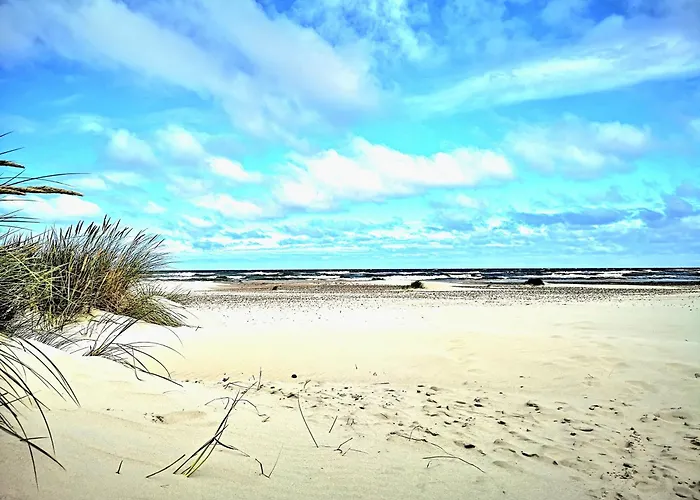 Baltic Forest Campingplatz *