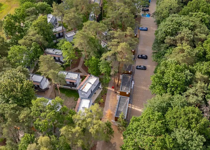 Baltic Forest * Kolberg