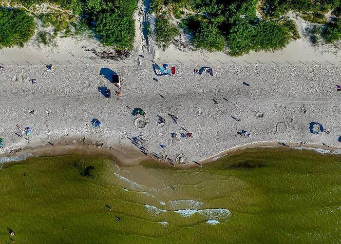 Baltic Forest * Kolberg